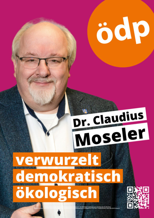 Kandidatenplakat Landtagswahl 2026