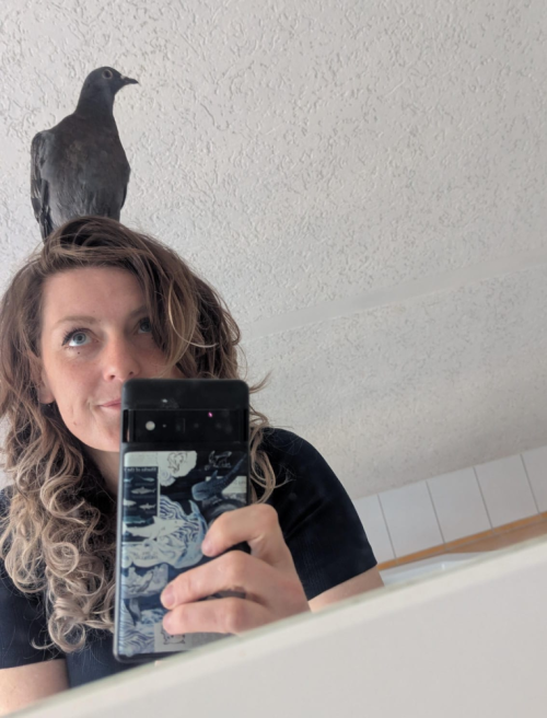 Stadttauben sind keine Wildtiere!