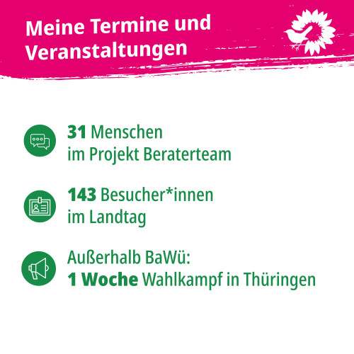 Jahresrückblick 2024 - politischer Rechenschaftsbericht