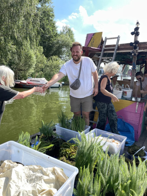 Pflanz-Aktion in der Rummelsburger Bucht mit dem Wassernetz Berlin