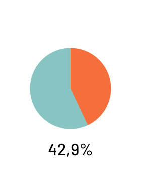 Wahlkreisergegbnis: Nina Warken: 42,9%
