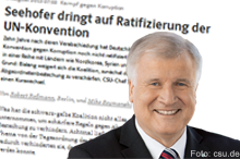 Grafik Seehofer